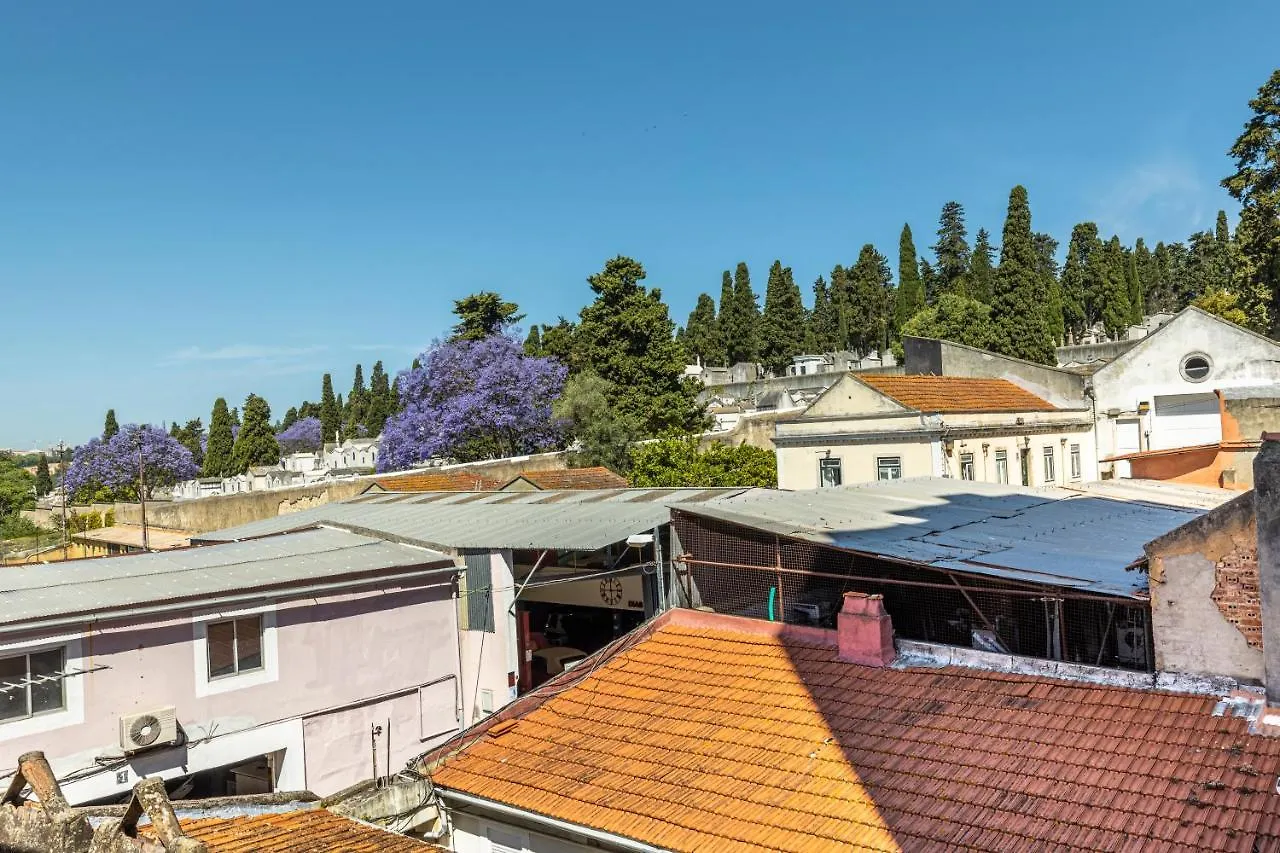 Comfy 3 Bedroom Apartment Campo De Ourique Lisboa