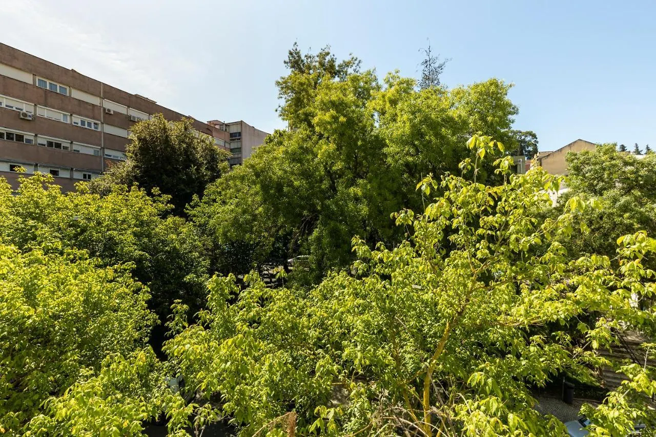Comfy 3 Bedroom Apartment Campo De Ourique Lisboa البرتغال